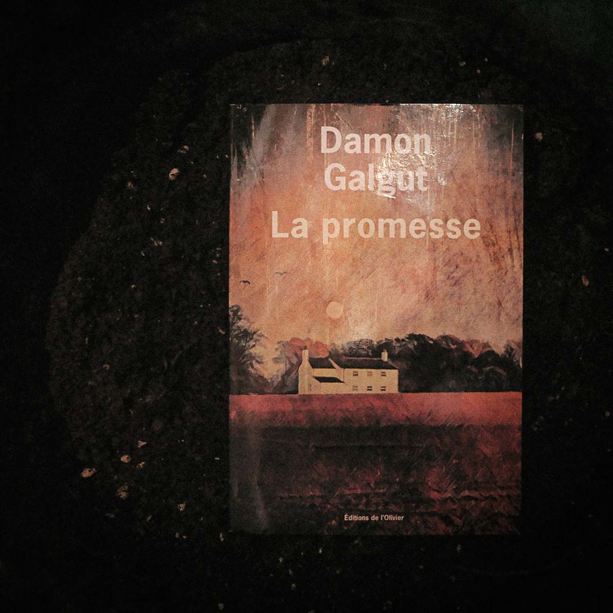 ⚫️ La promesse de Damon Galgut
